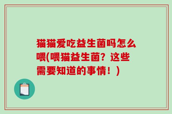 猫猫爱吃益生菌吗怎么喂(喂猫益生菌？这些需要知道的事情！)