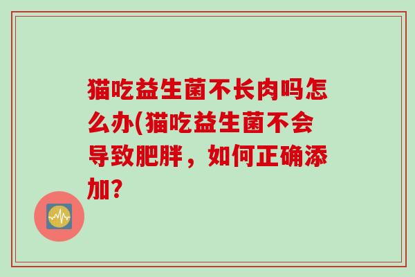 猫吃益生菌不长肉吗怎么办(猫吃益生菌不会导致肥胖，如何正确添加？