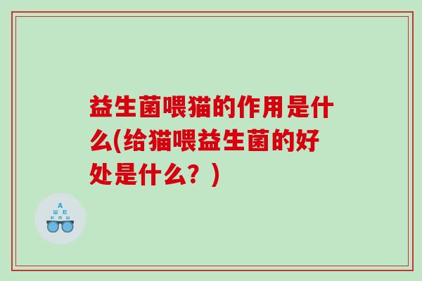 益生菌喂猫的作用是什么(给猫喂益生菌的好处是什么？)