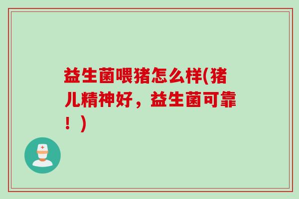益生菌喂猪怎么样(猪儿精神好,益生菌可靠!) 益生菌喂猪怎么样(猪儿精神好,益生菌可靠!)