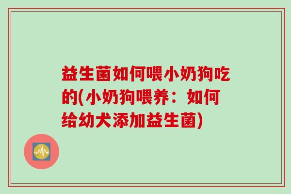 益生菌如何喂小奶狗吃的(小奶狗喂养：如何给幼犬添加益生菌)