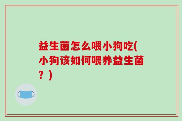 益生菌怎么喂小狗吃(小狗该如何喂养益生菌？)