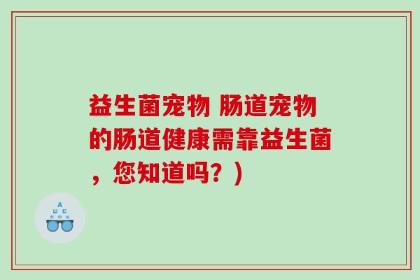 益生菌宠物 肠道宠物的肠道健康需靠益生菌，您知道吗？)