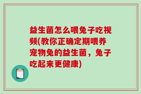 益生菌怎么喂兔子吃视频(教你正确定期喂养宠物兔的益生菌，兔子吃起来更健康)