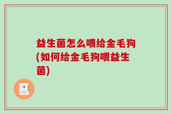 益生菌怎么喂给金毛狗(如何给金毛狗喂益生菌)