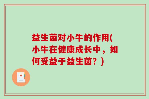 益生菌对小牛的作用(小牛在健康成长中，如何受益于益生菌？)