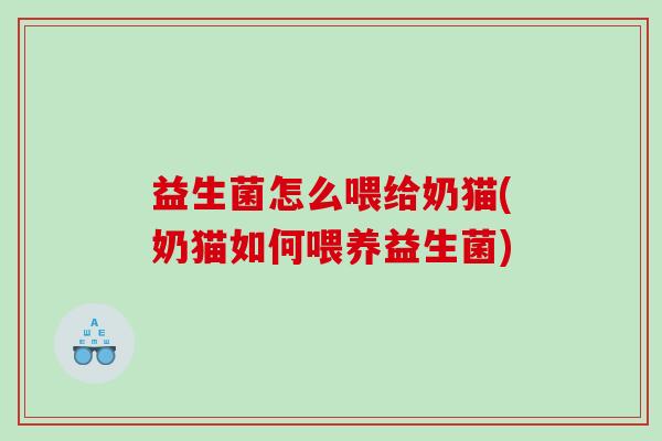益生菌怎么喂给奶猫(奶猫如何喂养益生菌)
