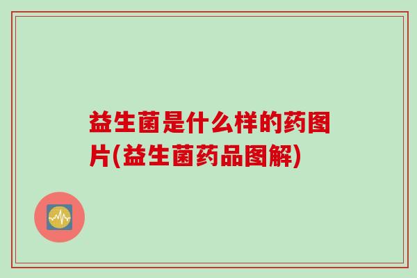 益生菌是什么样的药图片(益生菌药品图解)