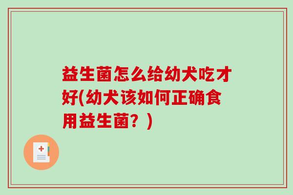 益生菌怎么给幼犬吃才好(幼犬该如何正确食用益生菌?) 益生菌怎么给幼犬吃才好(幼犬该如何正确食用益生菌?)