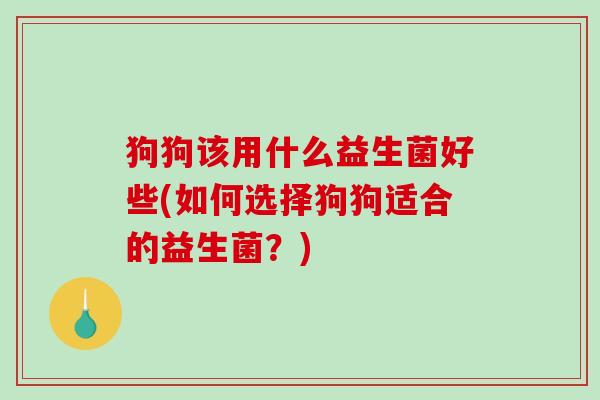 狗狗该用什么益生菌好些(如何选择狗狗适合的益生菌？)