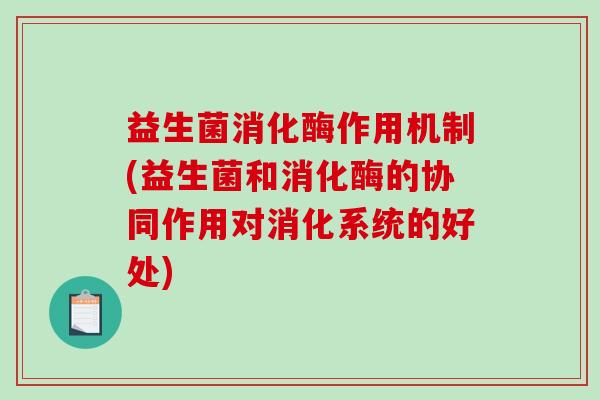 益生菌消化酶作用机制(益生菌和消化酶的协同作用对消化系统的好处)