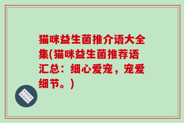 猫咪益生菌推介语大全集(猫咪益生菌推荐语汇总：细心爱宠，宠爱细节。)