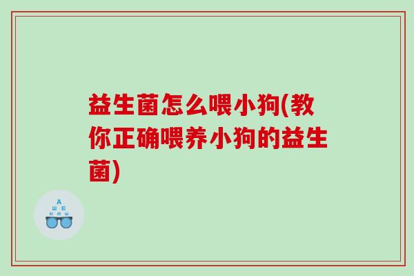 益生菌怎么喂小狗(教你正确喂养小狗的益生菌)