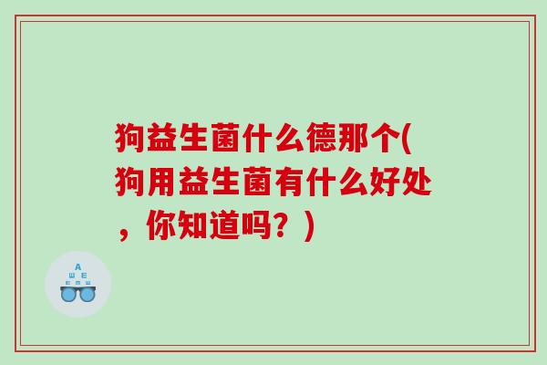 狗益生菌什么德那个(狗用益生菌有什么好处，你知道吗？)