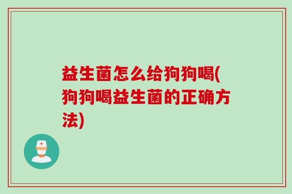益生菌怎么给狗狗喝(狗狗喝益生菌的正确方法)