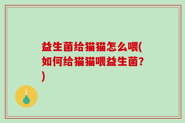 益生菌给猫猫怎么喂(如何给猫猫喂益生菌？)