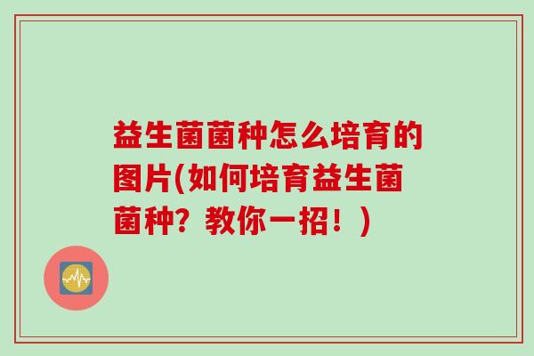 益生菌菌种怎么培育的图片(如何培育益生菌菌种？教你一招！)