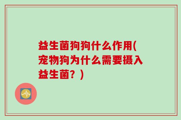 益生菌狗狗什么作用(宠物狗为什么需要摄入益生菌？)