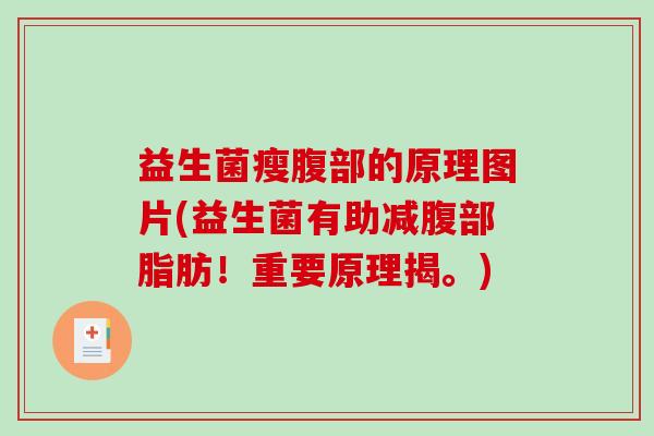 益生菌瘦腹部的原理图片(益生菌有助减腹部脂肪!重要原理揭。) 益生菌瘦腹部的原理图片(益生菌有助减腹部脂肪!重要原理揭。)