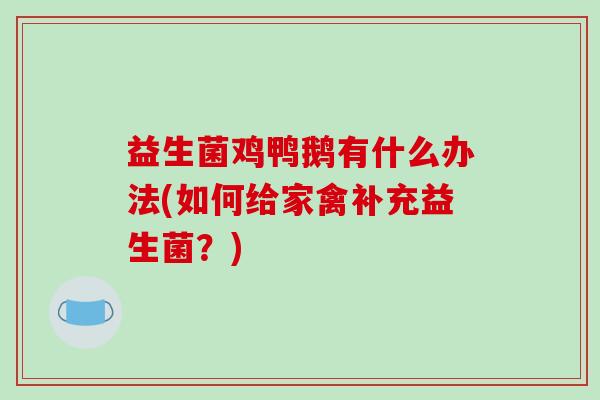 益生菌鸡鸭鹅有什么办法(如何给家禽补充益生菌？)