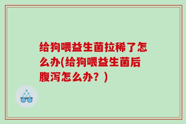 给狗喂益生菌拉稀了怎么办(给狗喂益生菌后腹泻怎么办？)