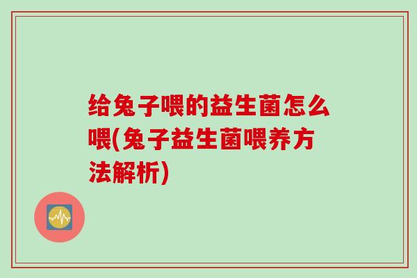 给兔子喂的益生菌怎么喂(兔子益生菌喂养方法解析)