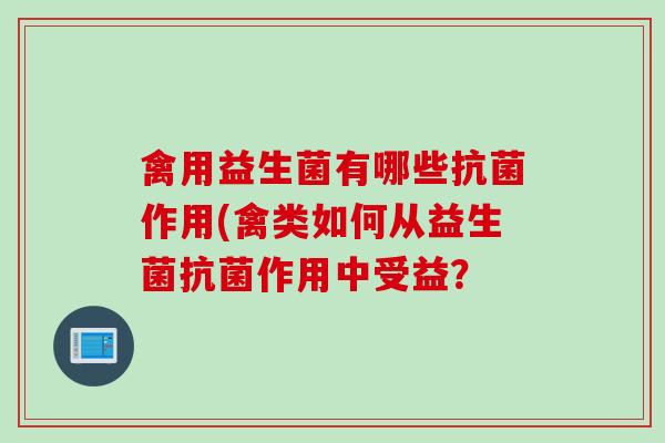 禽用益生菌有哪些抗菌作用(禽类如何从益生菌抗菌作用中受益？