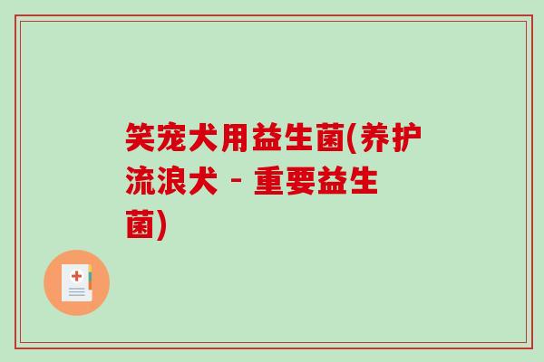 笑宠犬用益生菌(养护流浪犬 - 重要益生菌)