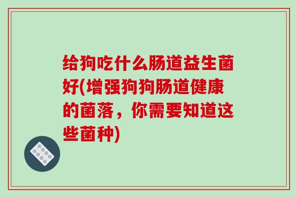 给狗吃什么肠道益生菌好(增强狗狗肠道健康的菌落，你需要知道这些菌种)