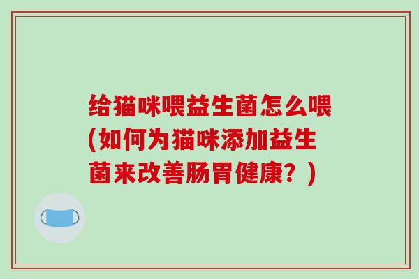 给猫咪喂益生菌怎么喂(如何为猫咪添加益生菌来改善肠胃健康？)