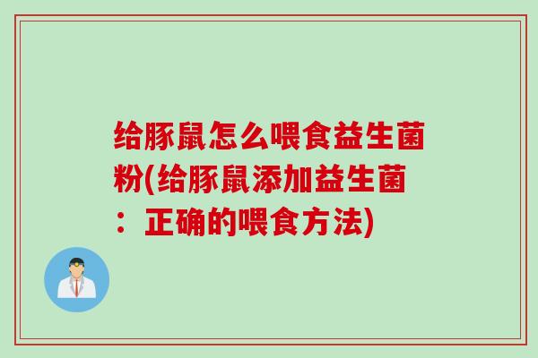 给豚鼠怎么喂食益生菌粉(给豚鼠添加益生菌：正确的喂食方法)