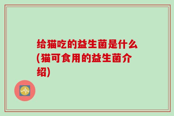 给猫吃的益生菌是什么(猫可食用的益生菌介绍)