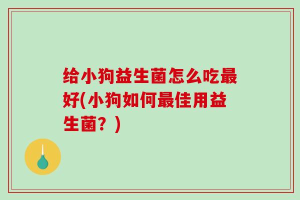 给小狗益生菌怎么吃好(小狗如何佳用益生菌？)