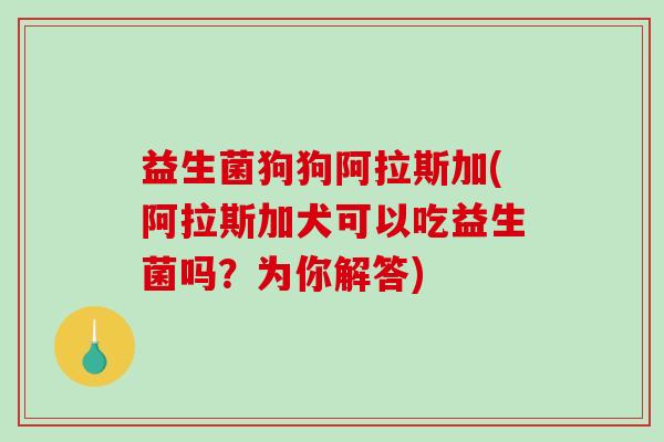 益生菌狗狗阿拉斯加(阿拉斯加犬可以吃益生菌吗？为你解答)