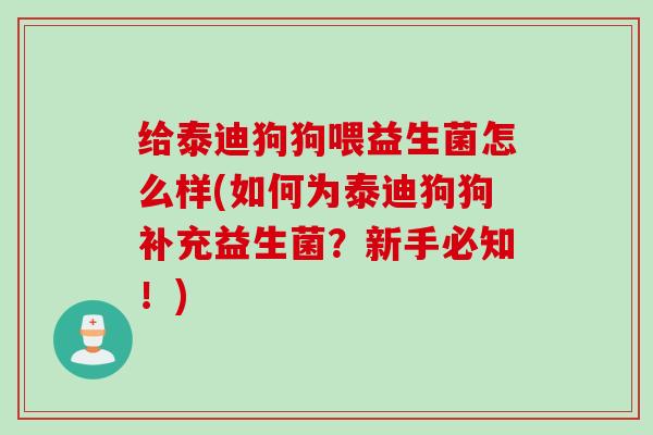 给泰迪狗狗喂益生菌怎么样(如何为泰迪狗狗补充益生菌？新手必知！)