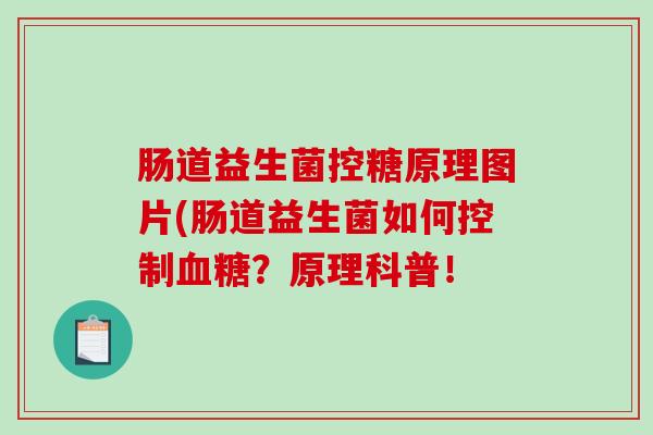 肠道益生菌控糖原理图片(肠道益生菌如何控制血糖？原理科普！