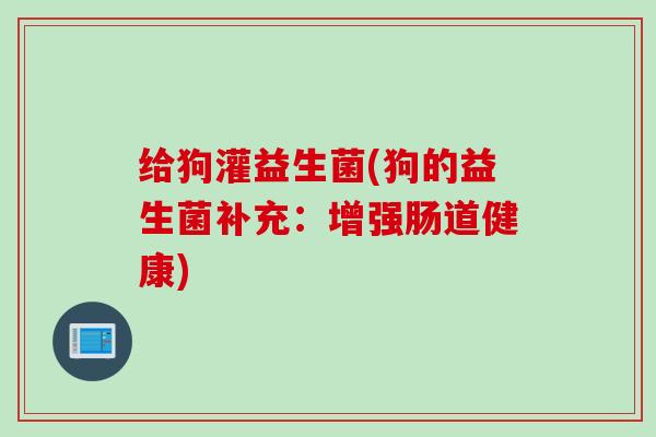给狗灌益生菌(狗的益生菌补充:增强肠道健康) 给狗灌益生菌(狗的益生菌补充:增强肠道健康)
