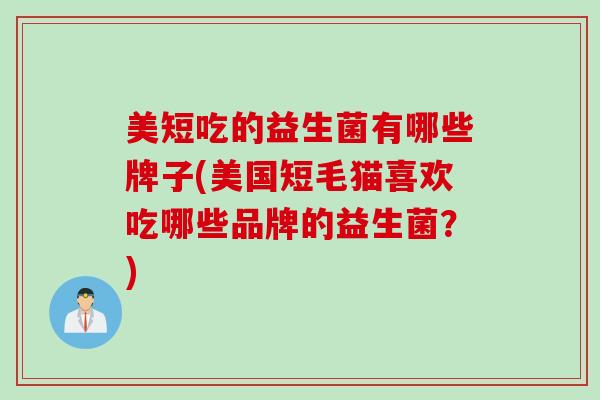 美短吃的益生菌有哪些牌子(美国短毛猫喜欢吃哪些品牌的益生菌？)