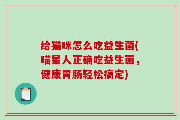 给猫咪怎么吃益生菌(喵星人正确吃益生菌，健康胃肠轻松搞定)