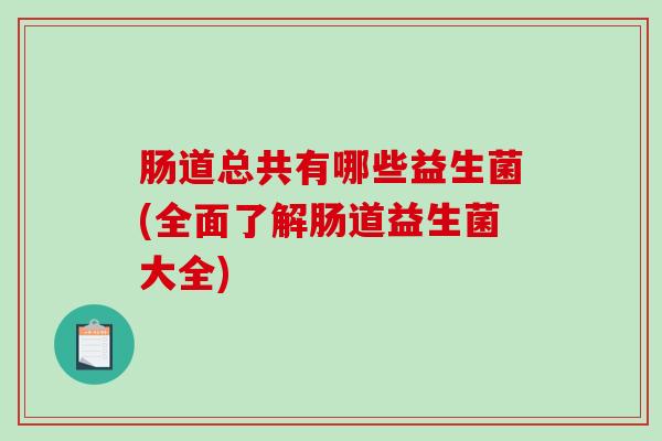 肠道总共有哪些益生菌(全面了解肠道益生菌大全)