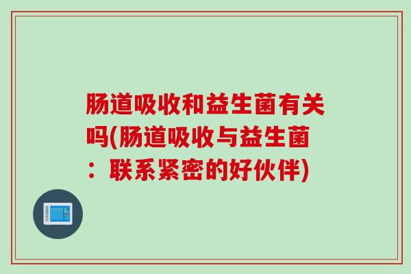 肠道吸收和益生菌有关吗(肠道吸收与益生菌：联系紧密的好伙伴)