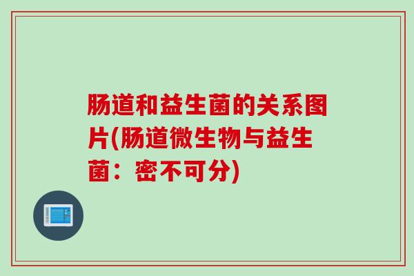 肠道和益生菌的关系图片(肠道微生物与益生菌：密不可分)