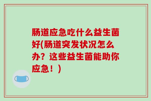 肠道应急吃什么益生菌好(肠道突发状况怎么办？这些益生菌能助你应急！)