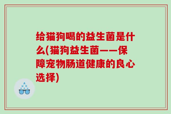 给猫狗喝的益生菌是什么(猫狗益生菌——保障宠物肠道健康的良心选择)