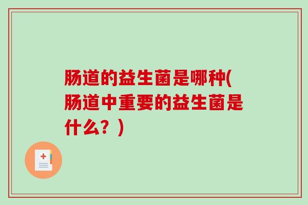 肠道的益生菌是哪种(肠道中重要的益生菌是什么？)