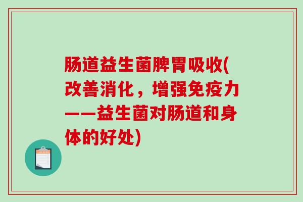 肠道益生菌脾胃吸收(改善消化，增强免疫力——益生菌对肠道和身体的好处)