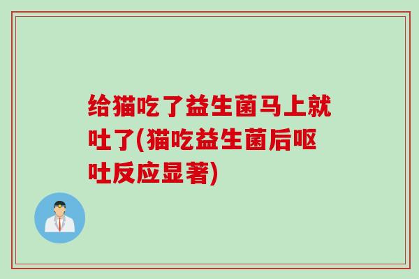 给猫吃了益生菌马上就吐了(猫吃益生菌后反应显著)
