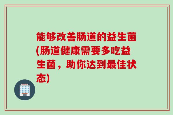 能够改善肠道的益生菌(肠道健康需要多吃益生菌，助你达到佳状态)