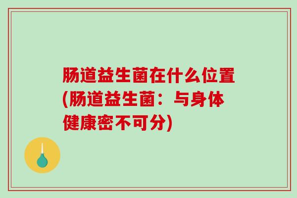肠道益生菌在什么位置(肠道益生菌：与身体健康密不可分)