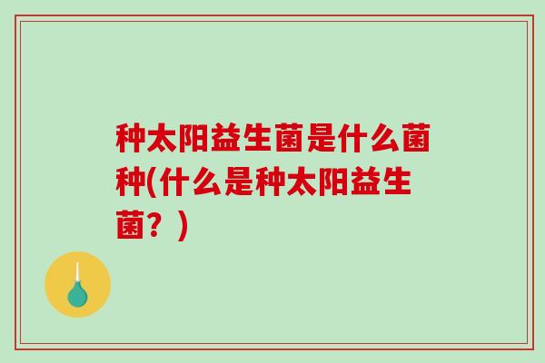 种太阳益生菌是什么菌种(什么是种太阳益生菌？)